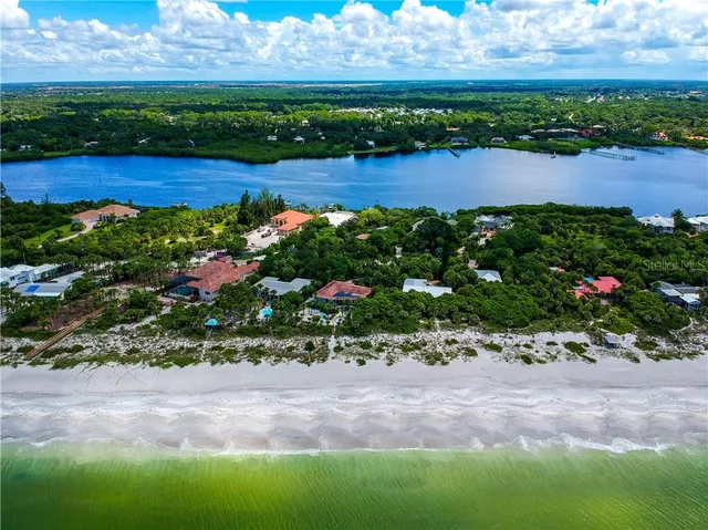 a picture of flowers