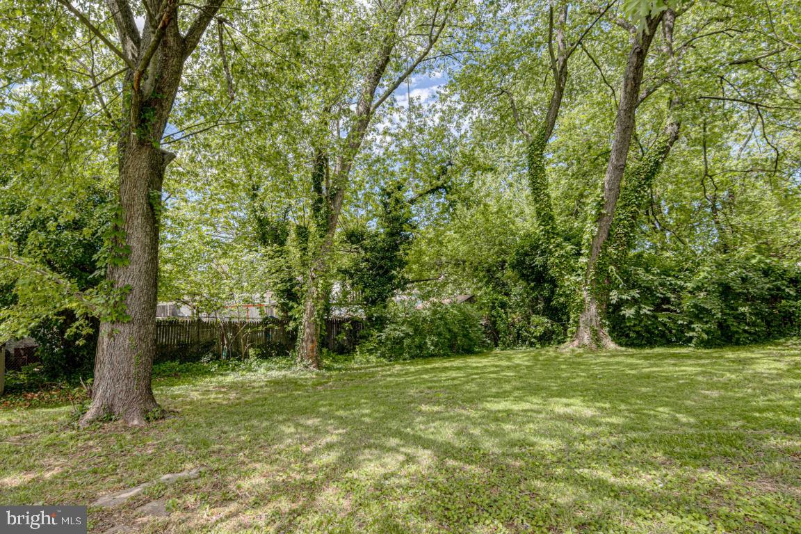1 Alder Road Annapolis, MD 21403 - Photo 29 of 33