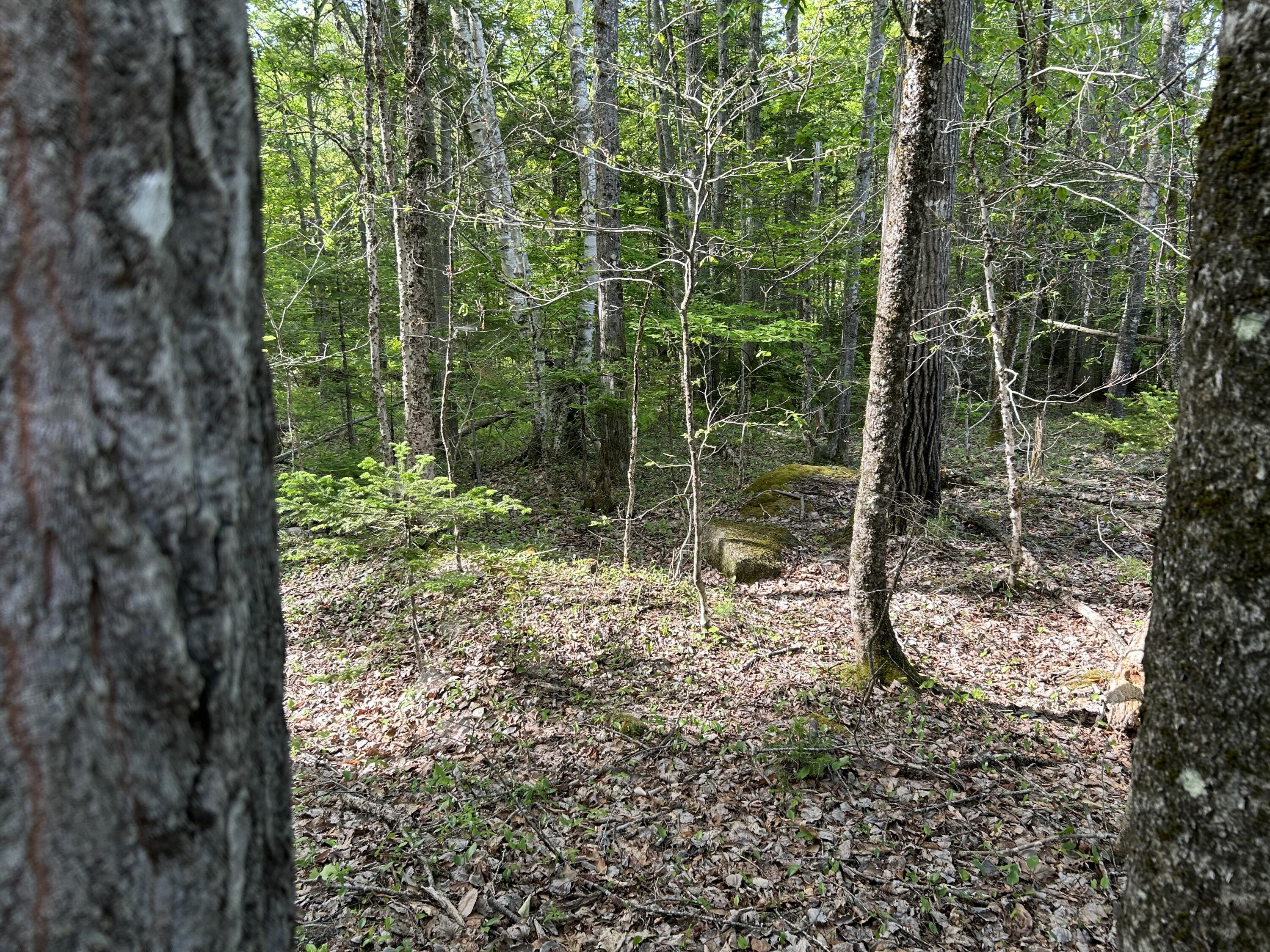 M5-l16 Clark Road Prospect, ME 04981 - Photo 24 of 45 IMG_8780