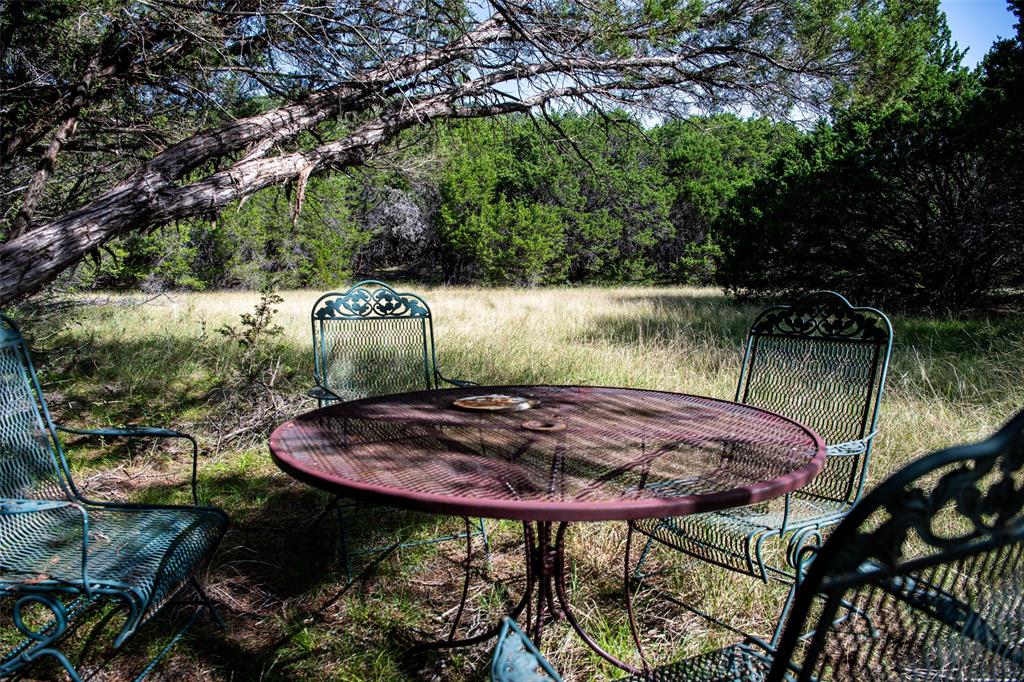 235 Big Bear Loop Strawn, TX 76475 - Photo 9 of 40 a view of a backyard with plants and lake