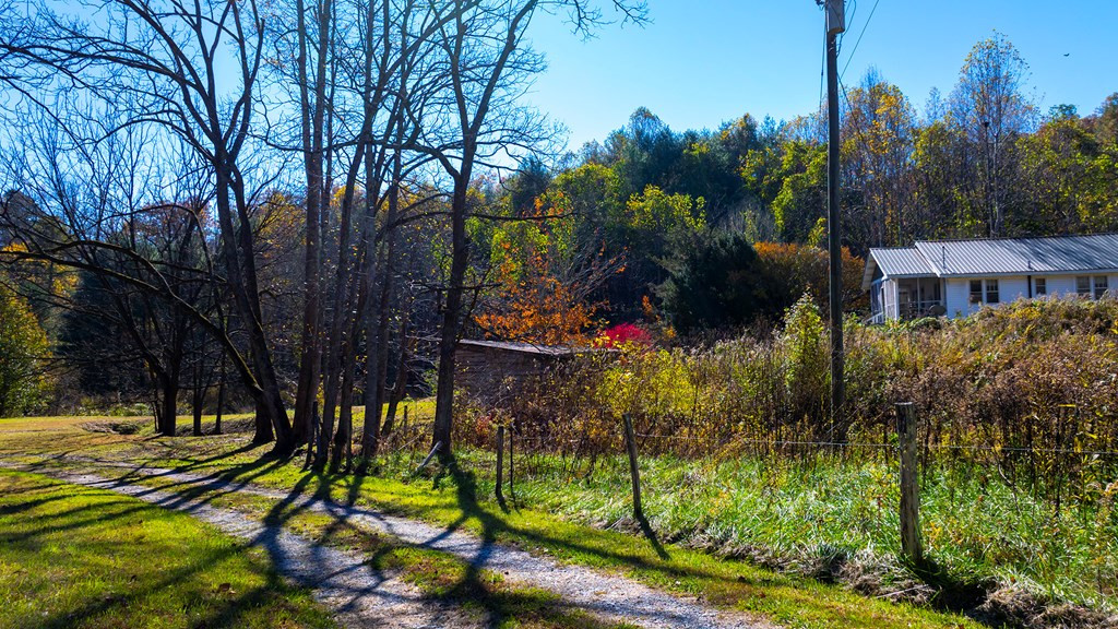 173-130 Edwards Cove Road Bryson City, NC 28713 - Photo 8 of 17