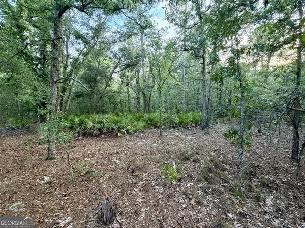 $60,000 | 1208 Hillside Drive, Claxton, GA 30417