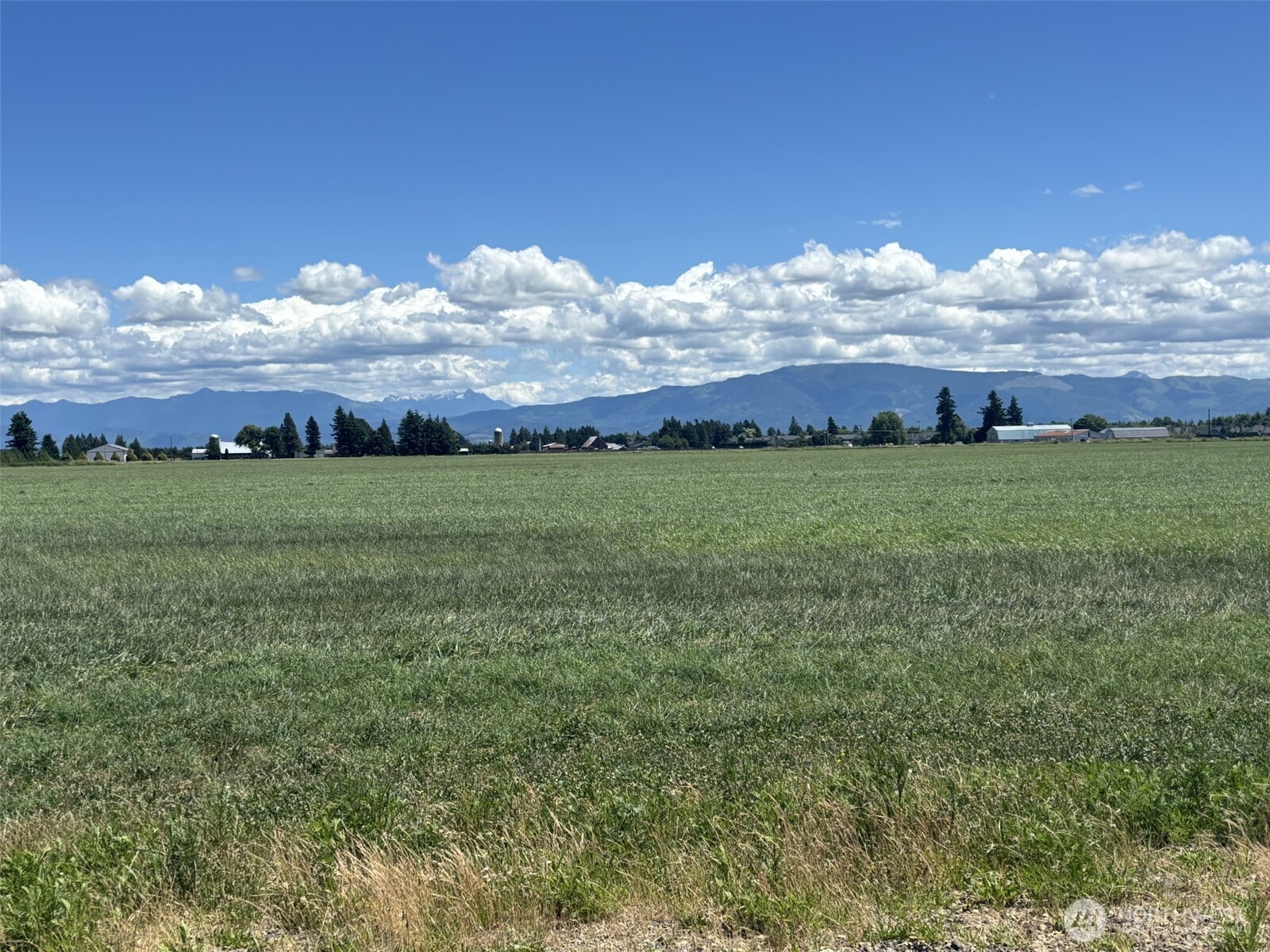8976 Double Ditch Road Lynden, WA 98264 - Photo 4 of 8