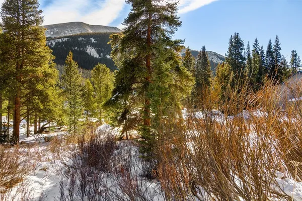 a view of mountain view with lots of trees