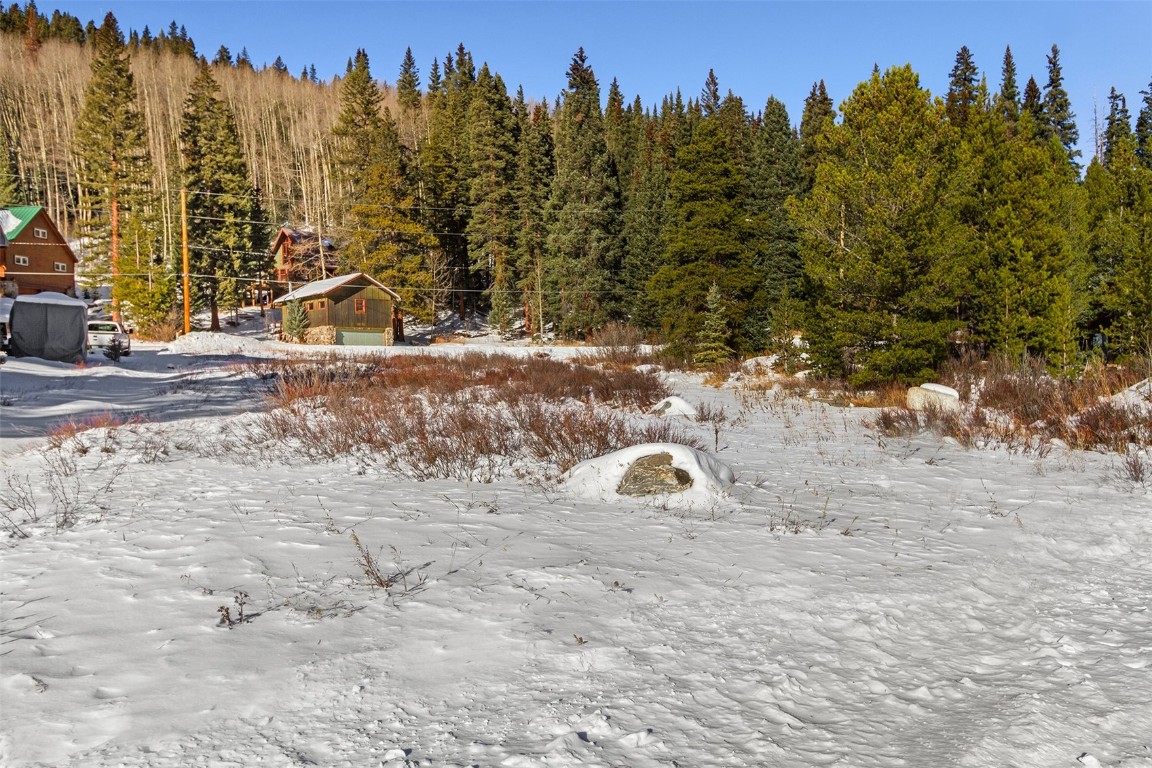 134-cty Rd 804) 134-cty Road Breckenridge, CO 80424 - Photo 4 of 5 a view of a field with trees