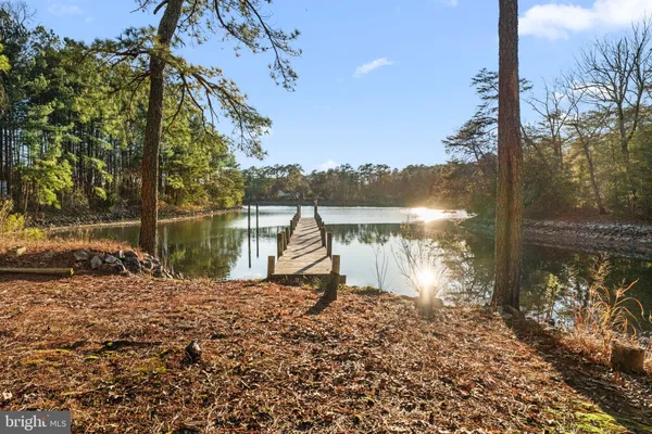 a lake view with a large trees