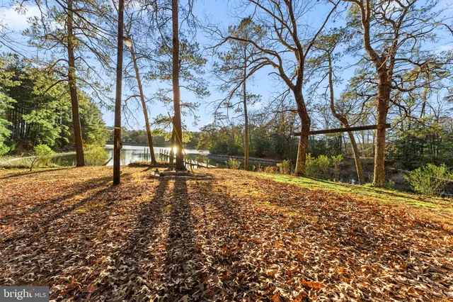a view of street with yard and trees