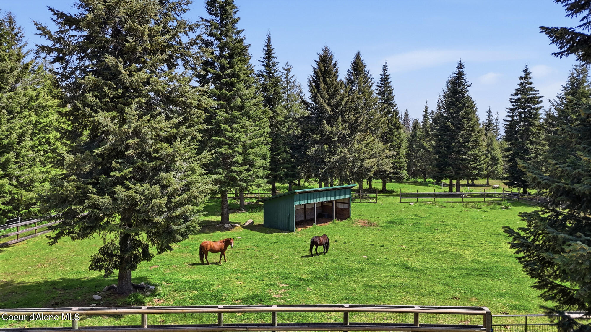 21381 North Thatcher Court Rathdrum, ID 83858 - Photo 6 of 75 54_21381 n thatcher ct