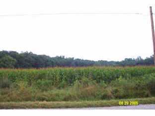 0 Twp Road, Unit TR1 Marengo, OH 43334 - Photo 3 of 3