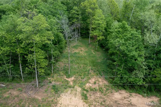 $49,900 | 0 Tract 3 Off Madison 320, Marquand, MO 63655
