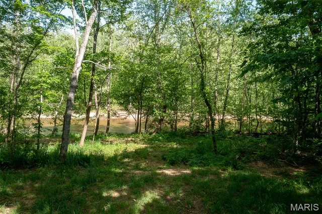 $49,900 | 0 Tract 3 Off Madison 320, Marquand, MO 63655