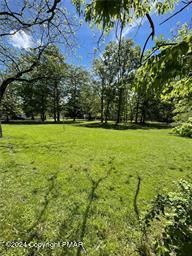 Abel Colony Road Wind Gap, PA 18091 - Photo 20 of 28 IMG_3699