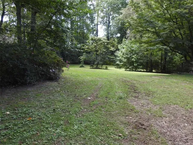 a view of a yard with a tree