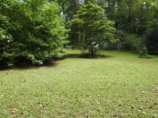 a view of a trees with a yard