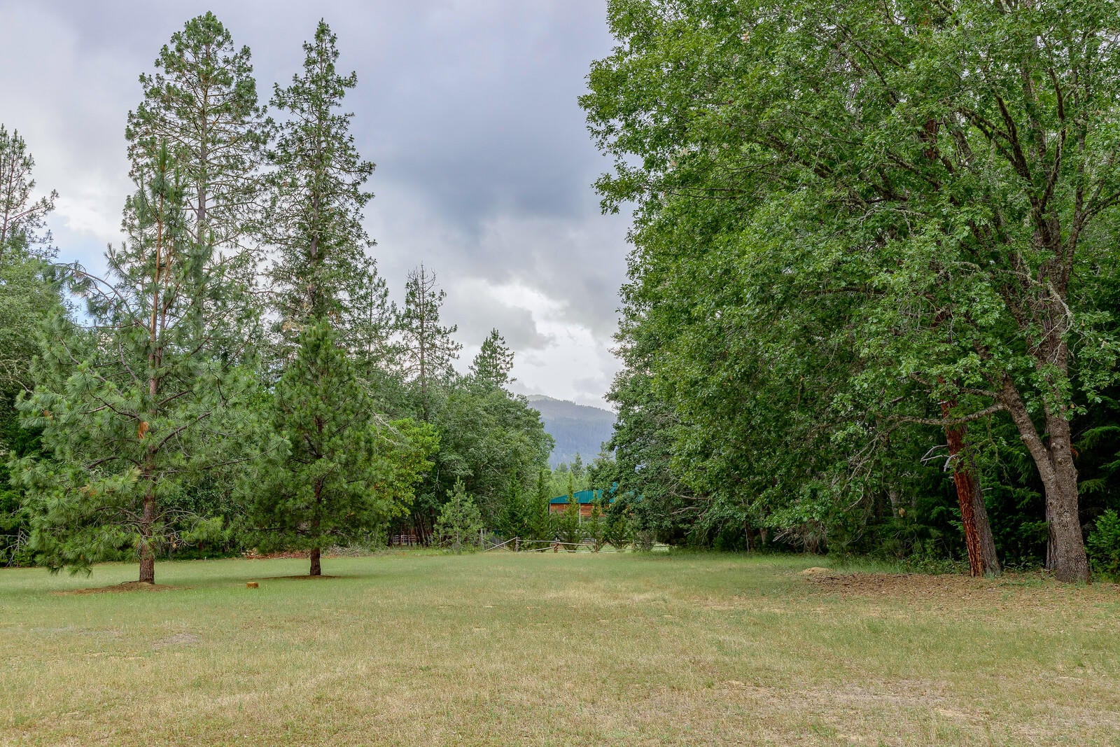 2444 Cedar Flat Road Williams, OR 97544 - Photo 58 of 74 71_CFR_71_mls