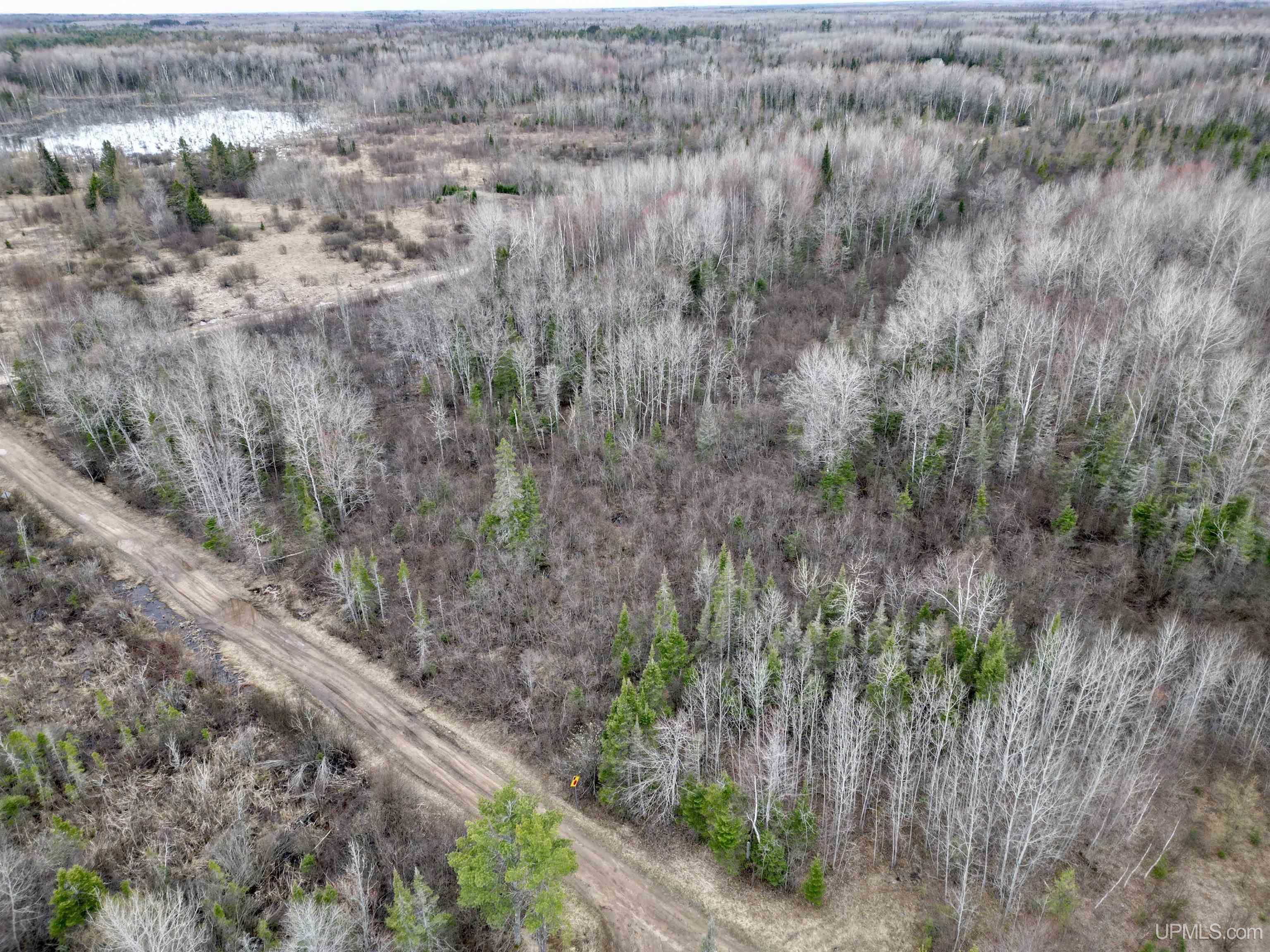 Tbd North Rock 38th Rd Se 40 Road Rock, MI 49880 - Photo 21 of 25