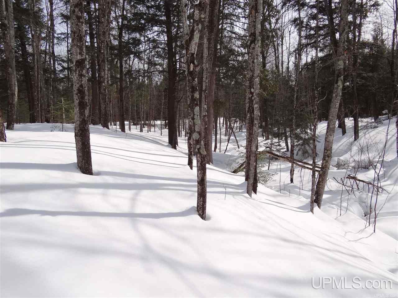 Tbd Dogpatch Road, Unit LOT J Lanse, MI 49946 - Photo 13 of 16