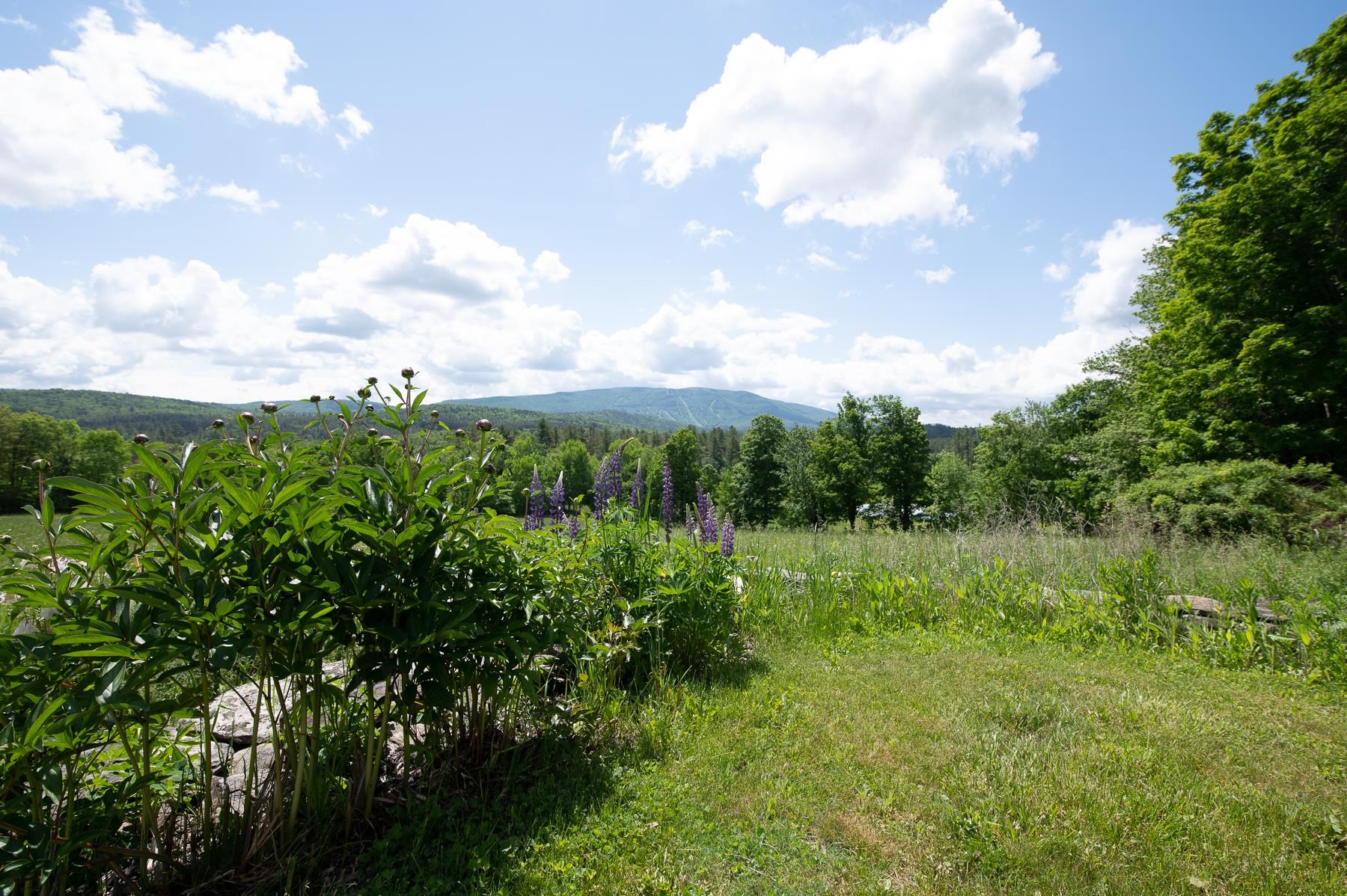 1070 Hell's Peak Road Londonderry, VT 05148 - Photo 17 of 23