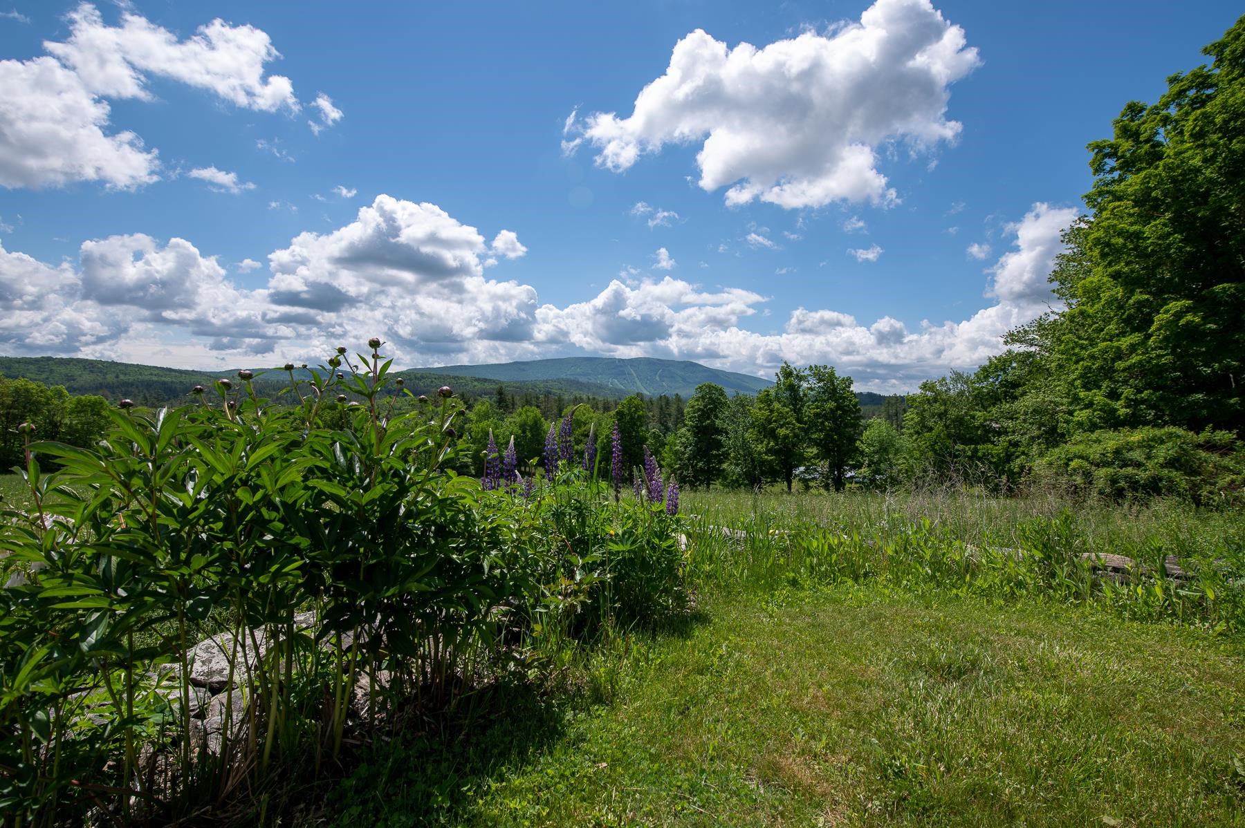 1070 Hell's Peak Road Londonderry, VT 05148 - Photo 18 of 23
