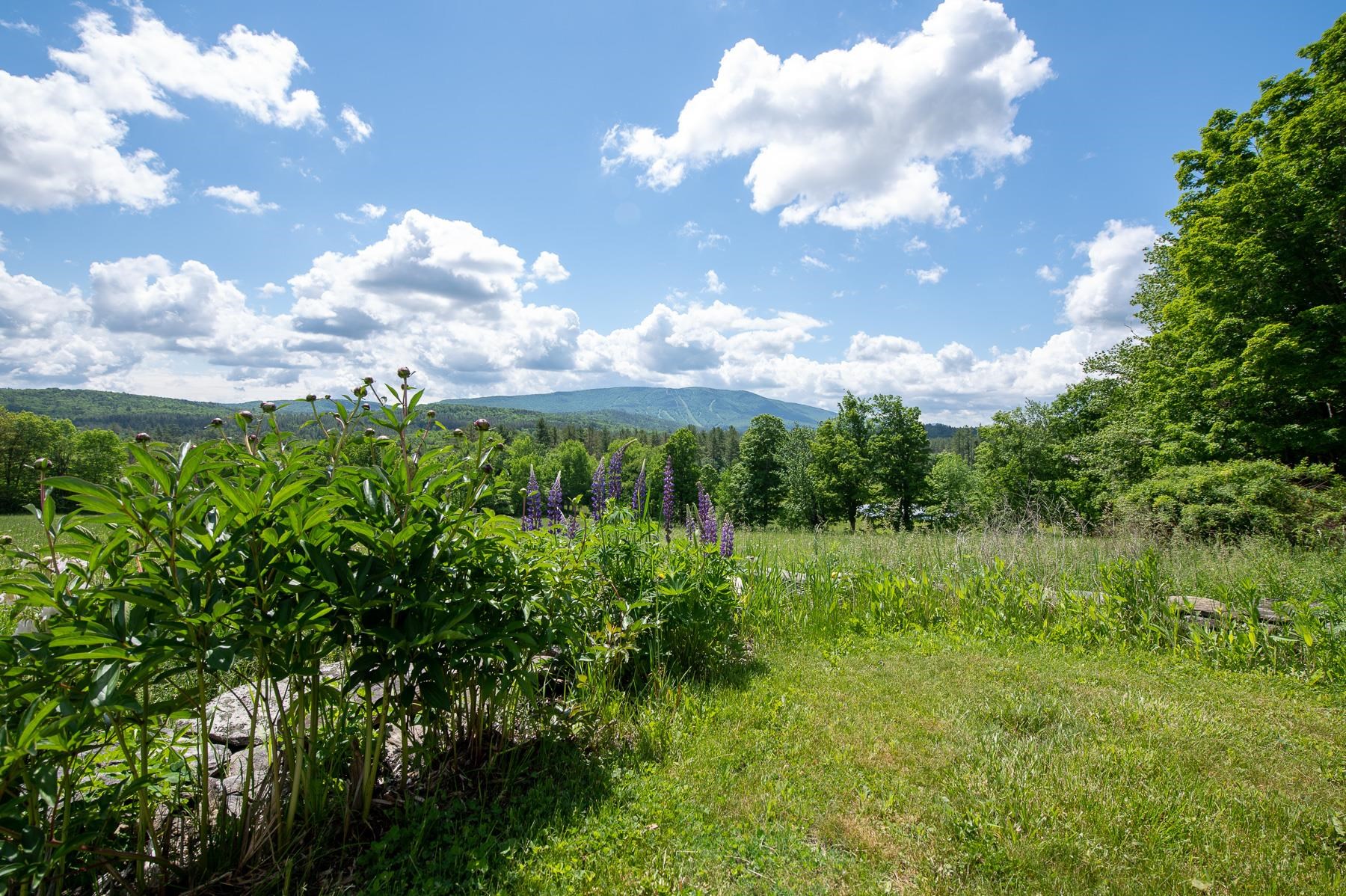 1070 Hell's Peak Road Londonderry, VT 05148 - Photo 19 of 23