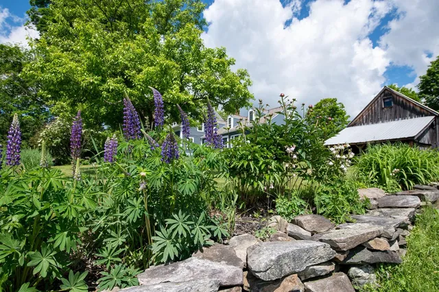 $20,000 | 1070 Hell's Peak Road, Londonderry, VT 05148