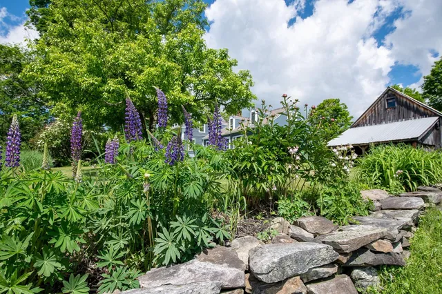 $20,000 | 1070 Hell's Peak Road, Londonderry, VT 05148