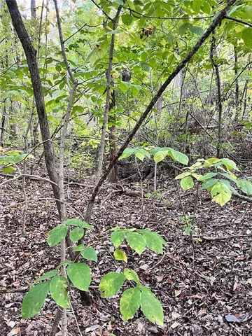 $7,500 | 219 Fawn Drive, Union, MO 63084