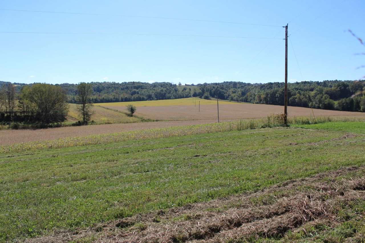 Amber White Road Bowling Green, KY 42101 - Photo 10 of 20 Gallery Image 10