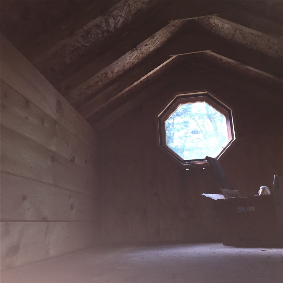 56 Beech Ridge Road Grantham, NH 03753 - Photo 13 of 21