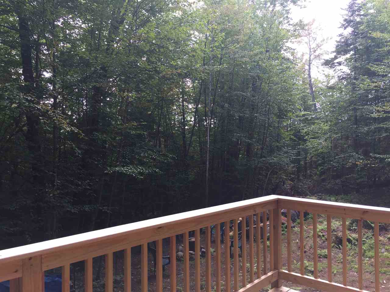 56 Beech Ridge Road Grantham, NH 03753 - Photo 18 of 21