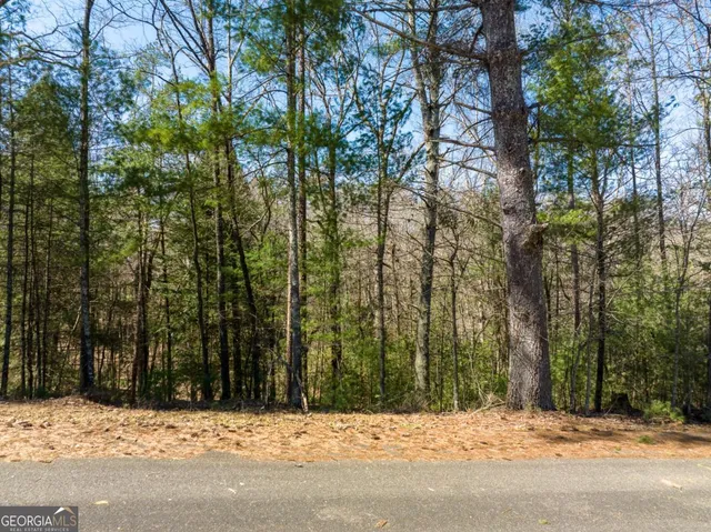 $15,000 | Lot 164 Shenendoa Drive, Ellijay, GA 30540