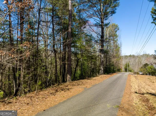 $15,000 | Lot 164 Shenendoa Drive, Ellijay, GA 30540