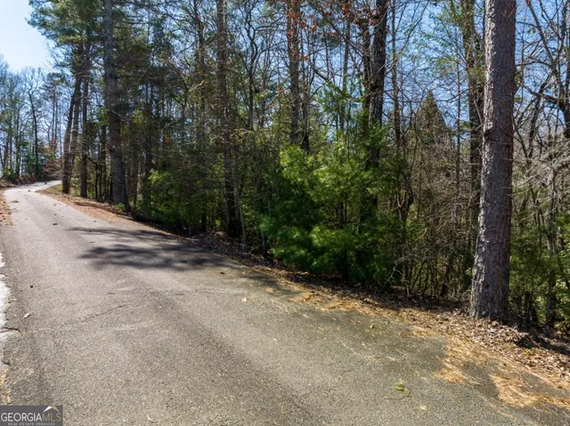 $15,000 | Lot 164 Shenendoa Drive, Ellijay, GA 30540