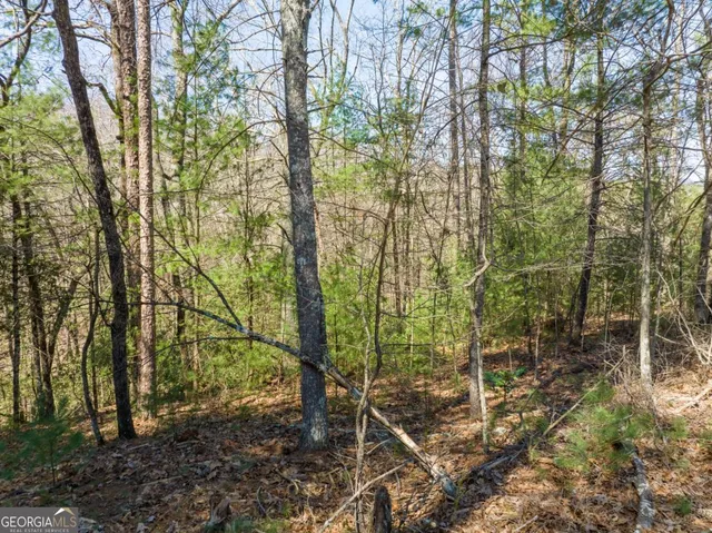 $15,000 | Lot 164 Shenendoa Drive, Ellijay, GA 30540