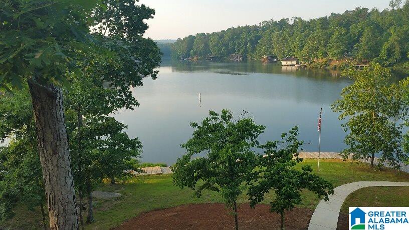 533 Lakeshore Drive West Oneonta, AL 35121 - Photo 14 of 18