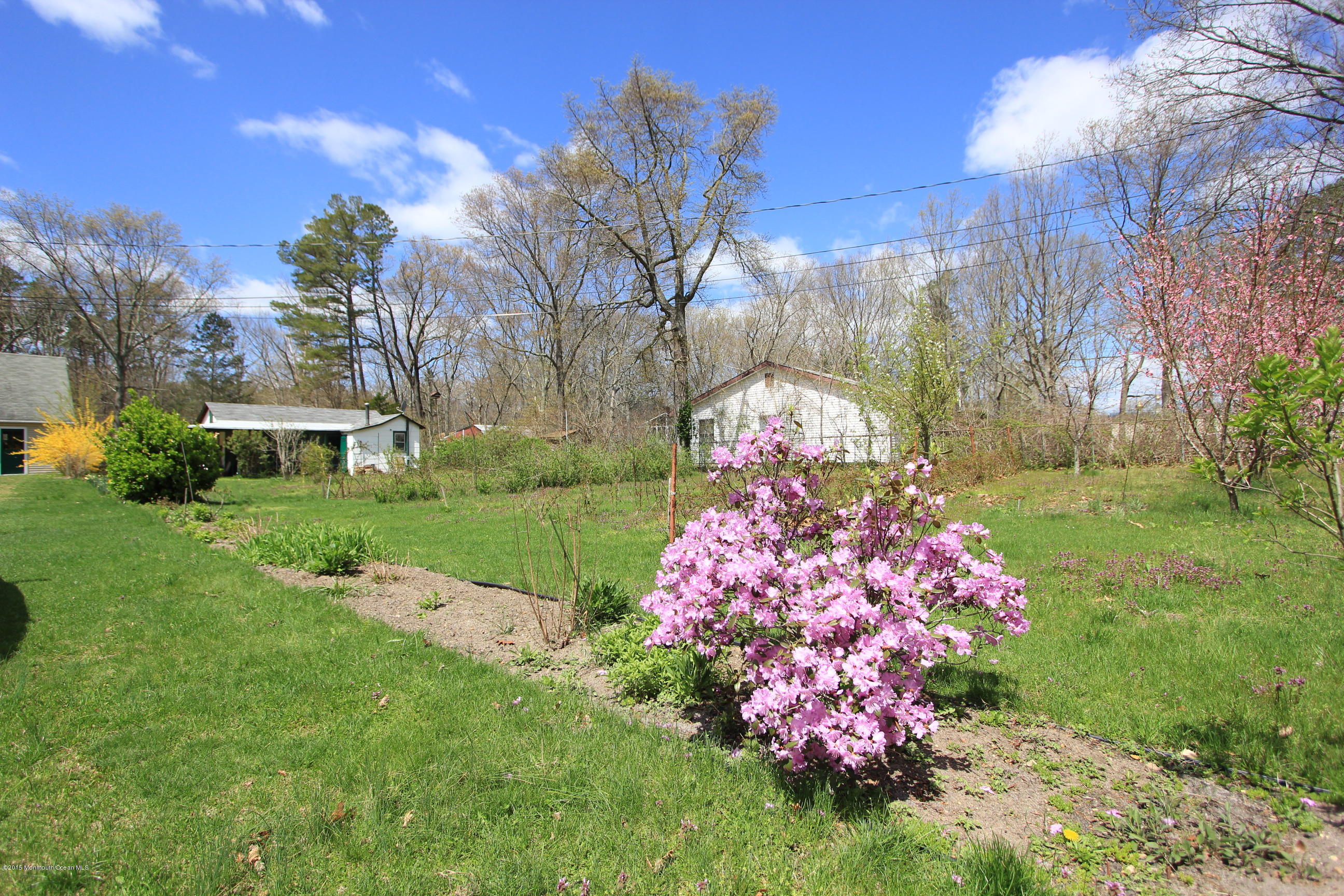 278 Cassville Road Jackson, NJ 08527 - Photo 38 of 60 Yard