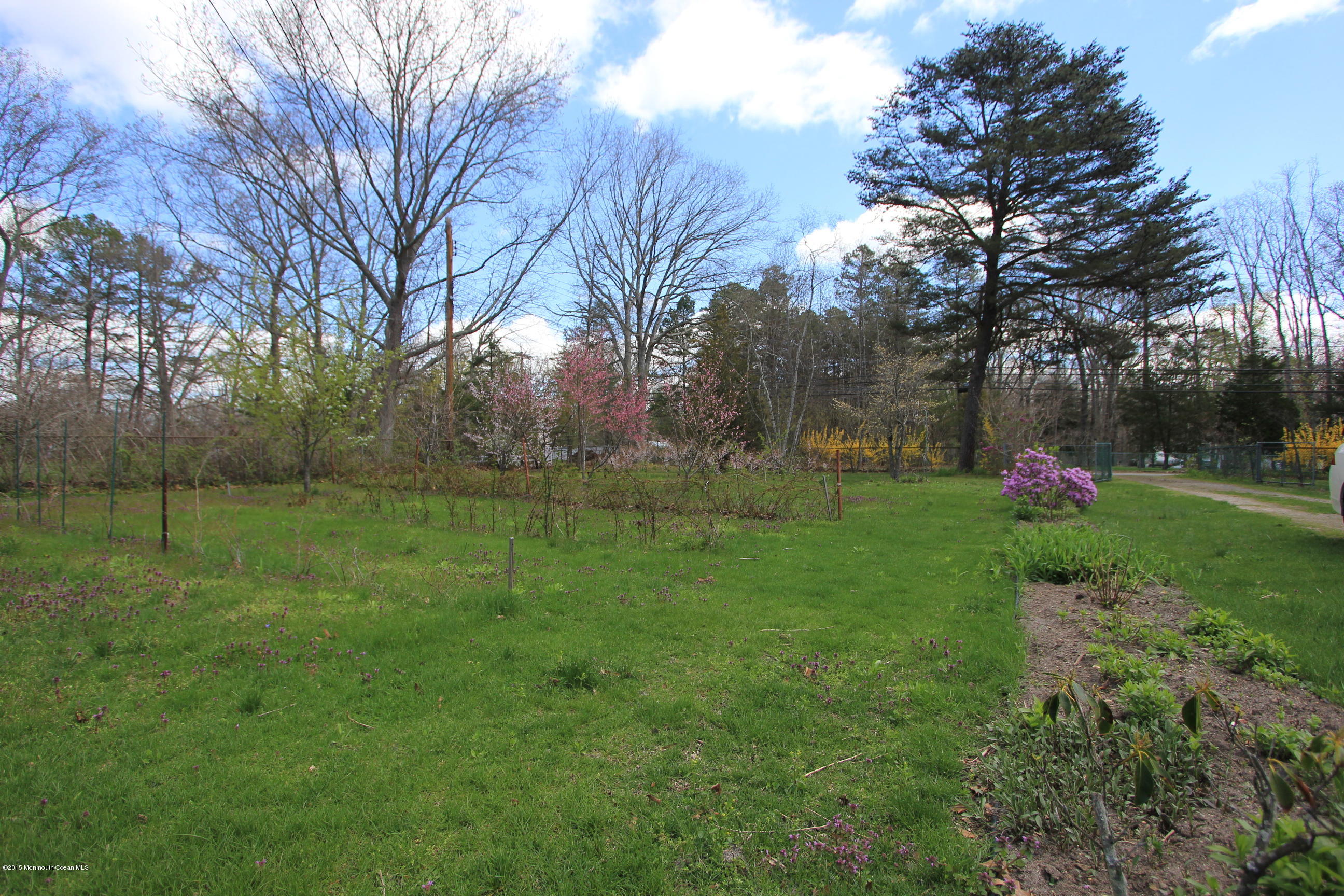 278 Cassville Road Jackson, NJ 08527 - Photo 39 of 60 Yard2