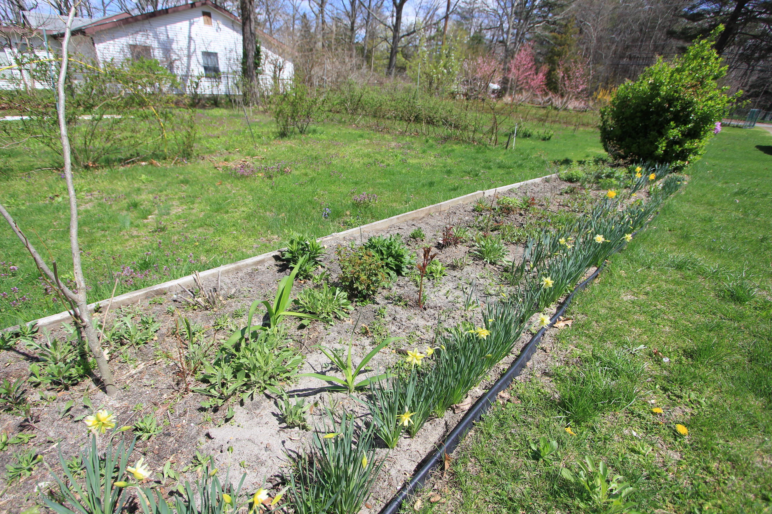278 Cassville Road Jackson, NJ 08527 - Photo 48 of 60 YardGardenBed2
