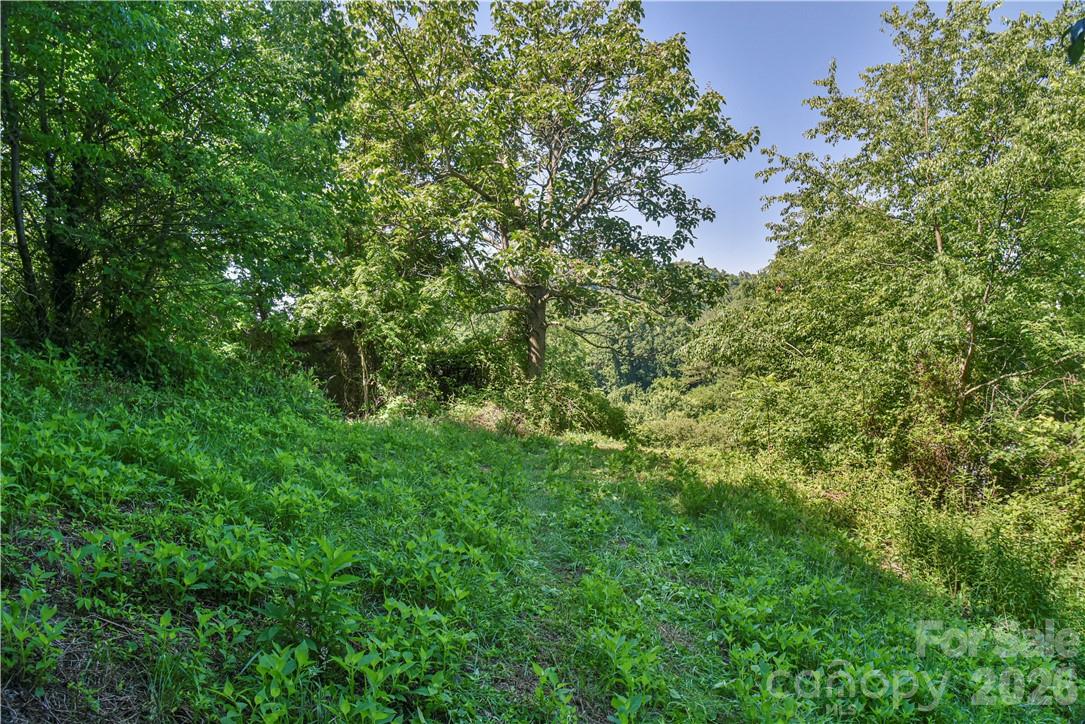 415 Weaverville Road Asheville, NC 28804 - Photo 12 of 47