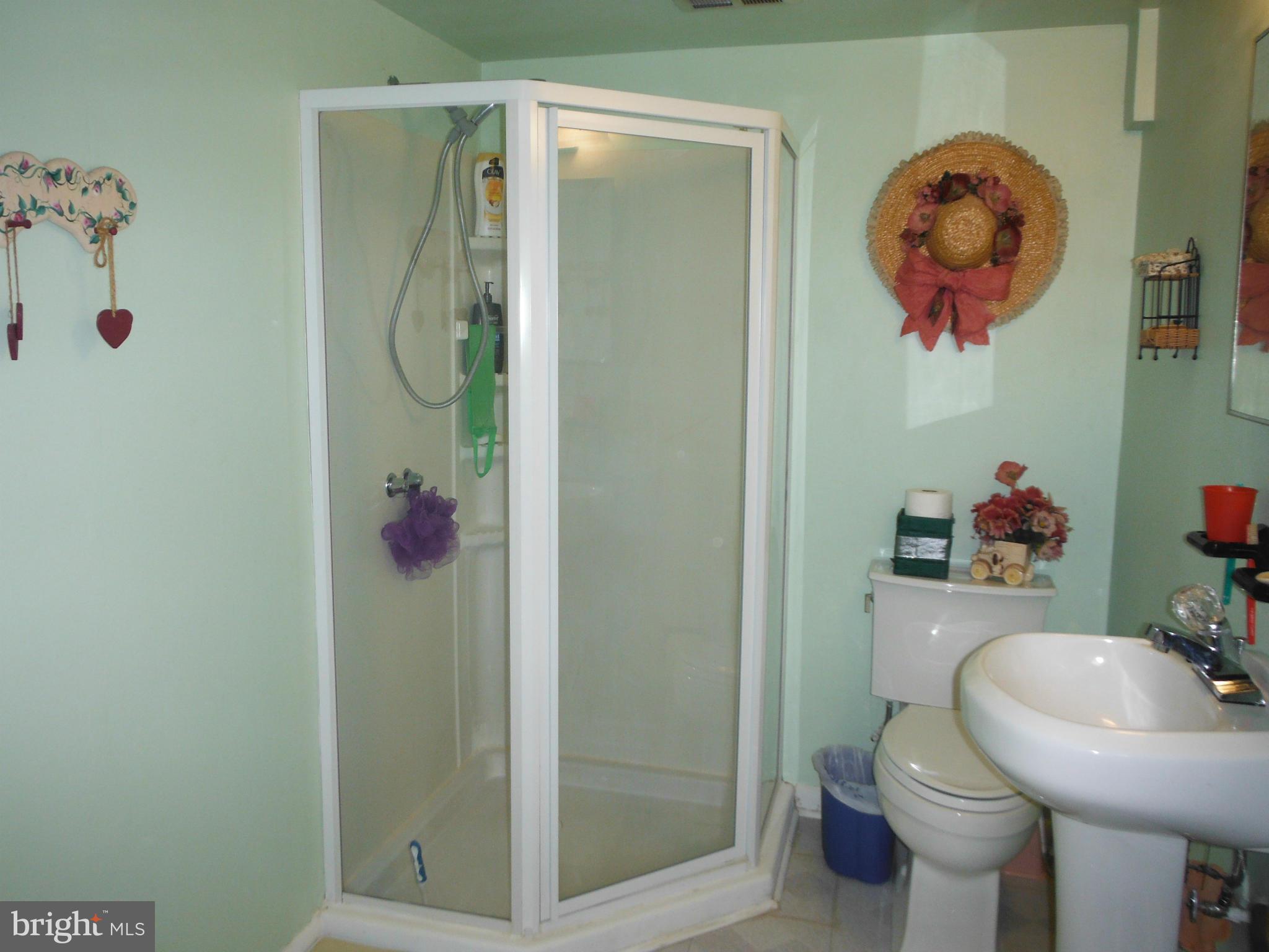 504 Nollmeyer Road Baltimore, MD 21220 - Photo 10 of 23 Bath in Lower Level