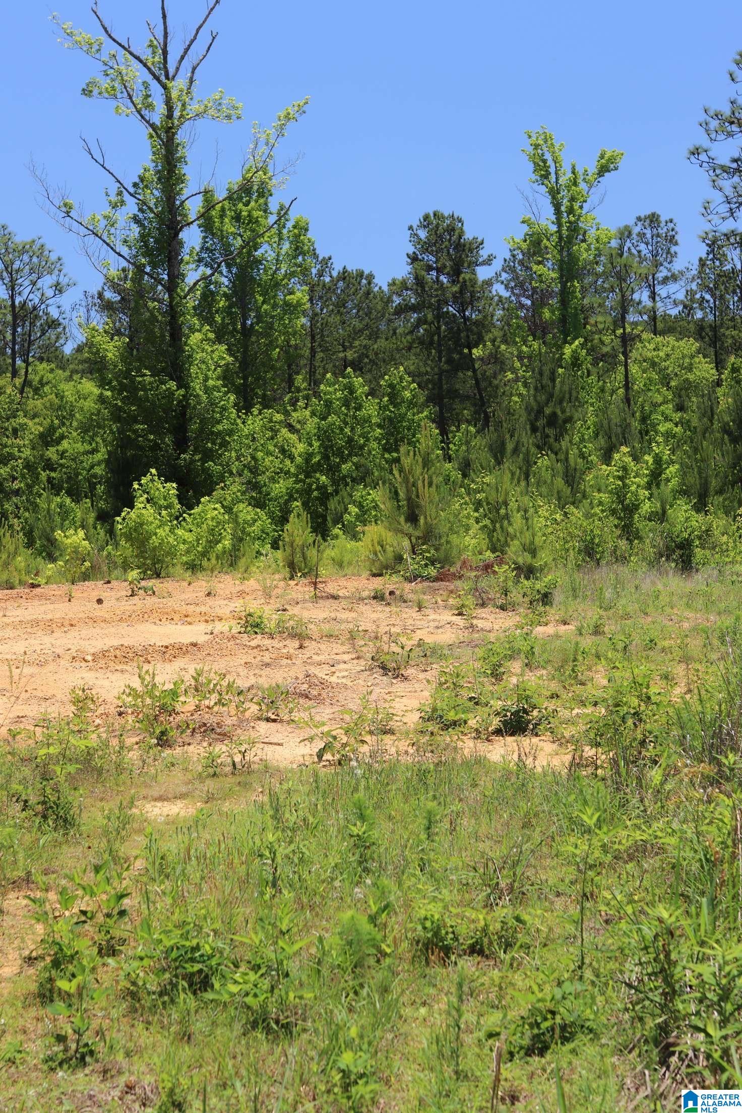 2930 Shocco Springs Road Talladega, AL 35160 - Photo 20 of 93