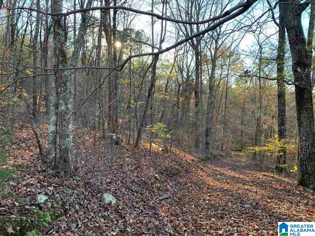 240 Larkhaven Lane, Unit 20 ACRES Springville, AL 35146 - Photo 9 of 17