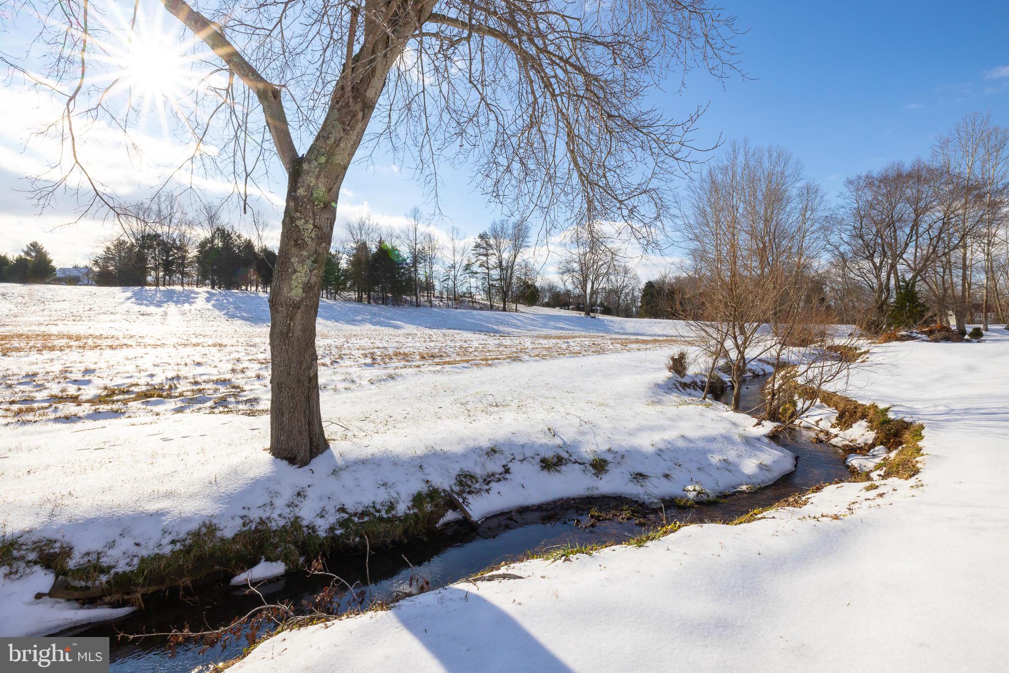 9643 Springs Road Warrenton, VA 20186 - Photo 14 of 59 Gallery Image 14