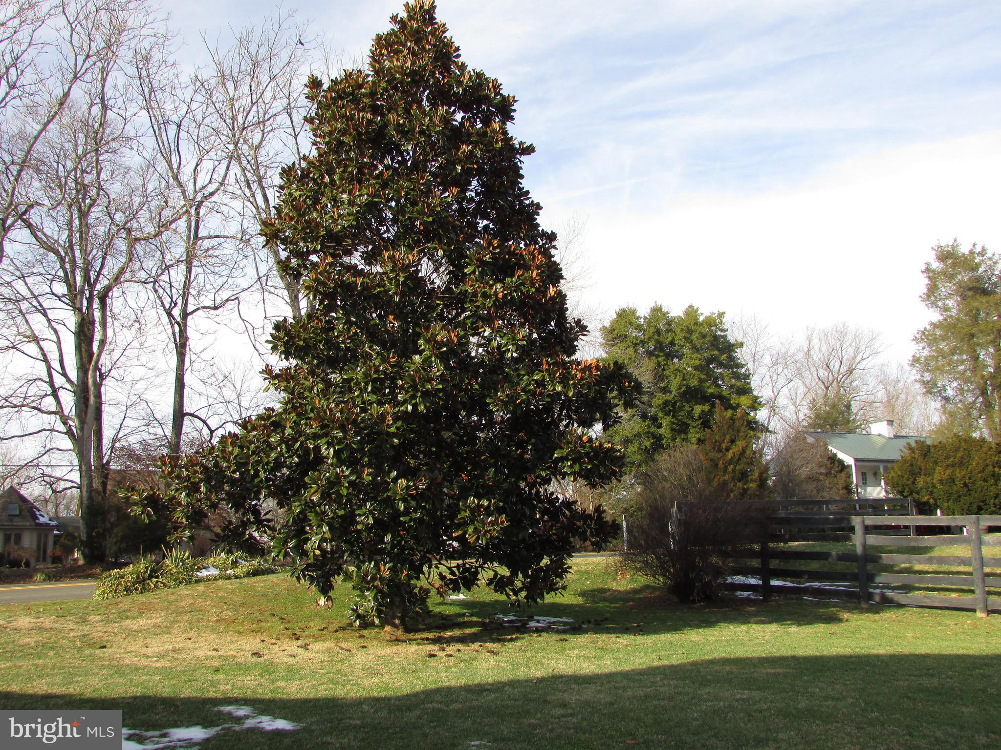 9643 Springs Road Warrenton, VA 20186 - Photo 56 of 59 Gallery Image 56