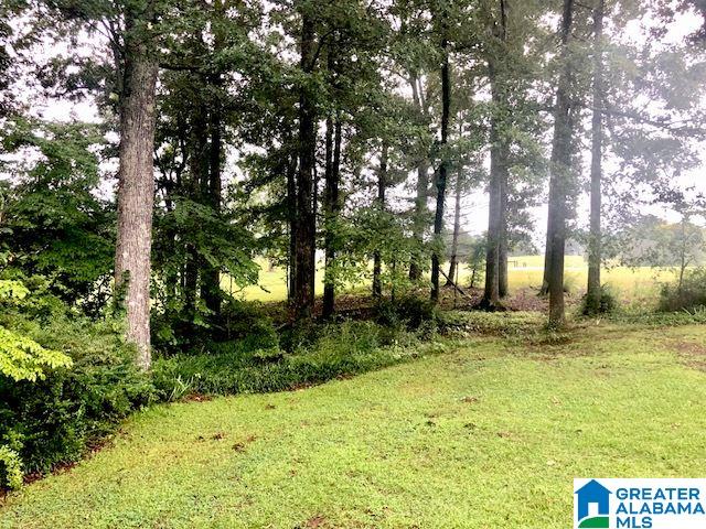 321 Aderholt Road Piedmont, AL 36272 - Photo 39 of 47