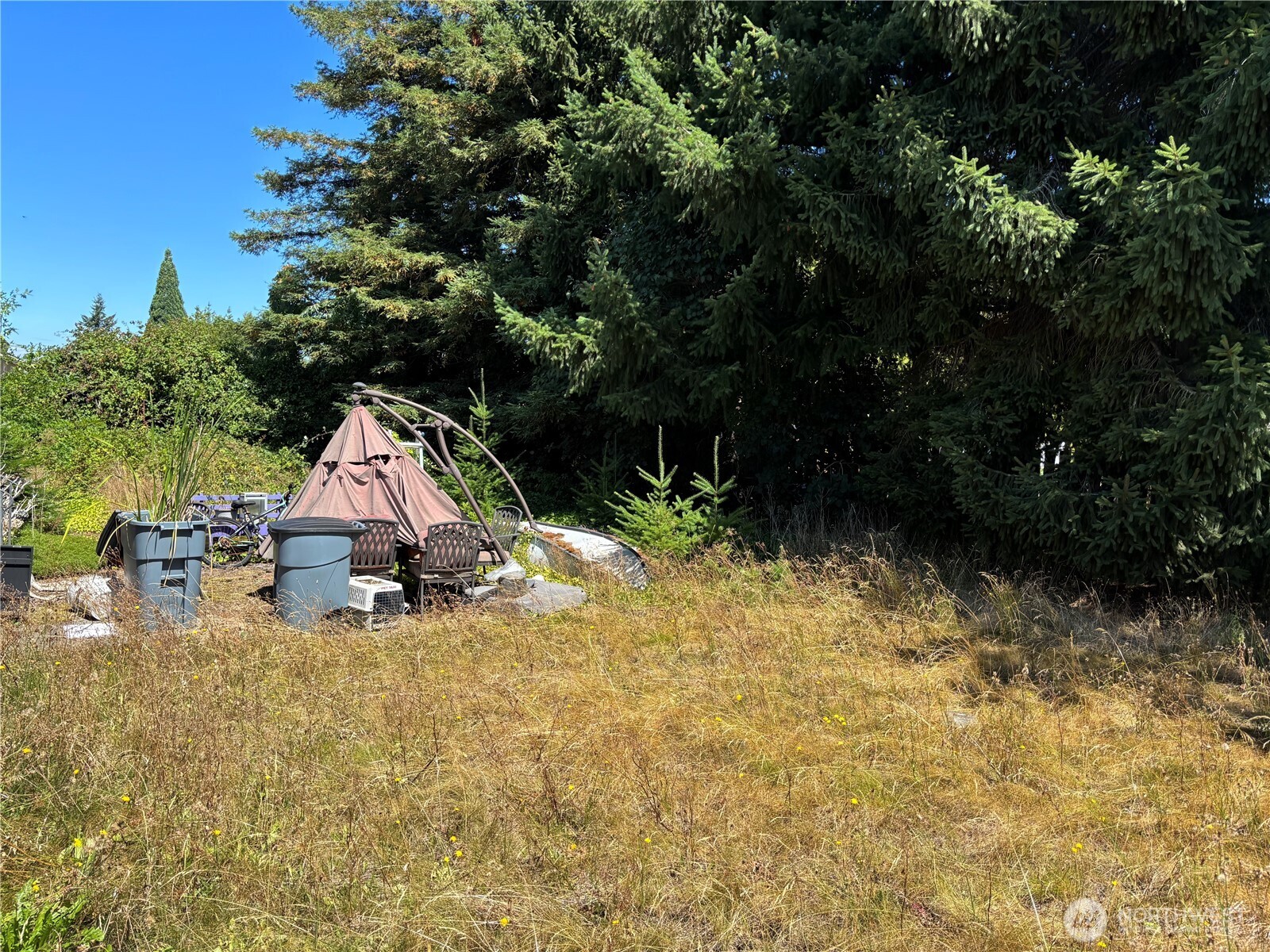 8554 Bender Road Lynden, WA 98264 - Photo 11 of 15 Gallery Image 11