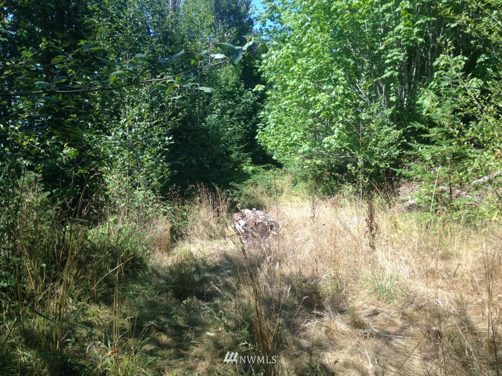 1 X Swansonville Road Port Ludlow, WA 98365 - Photo 2 of 6