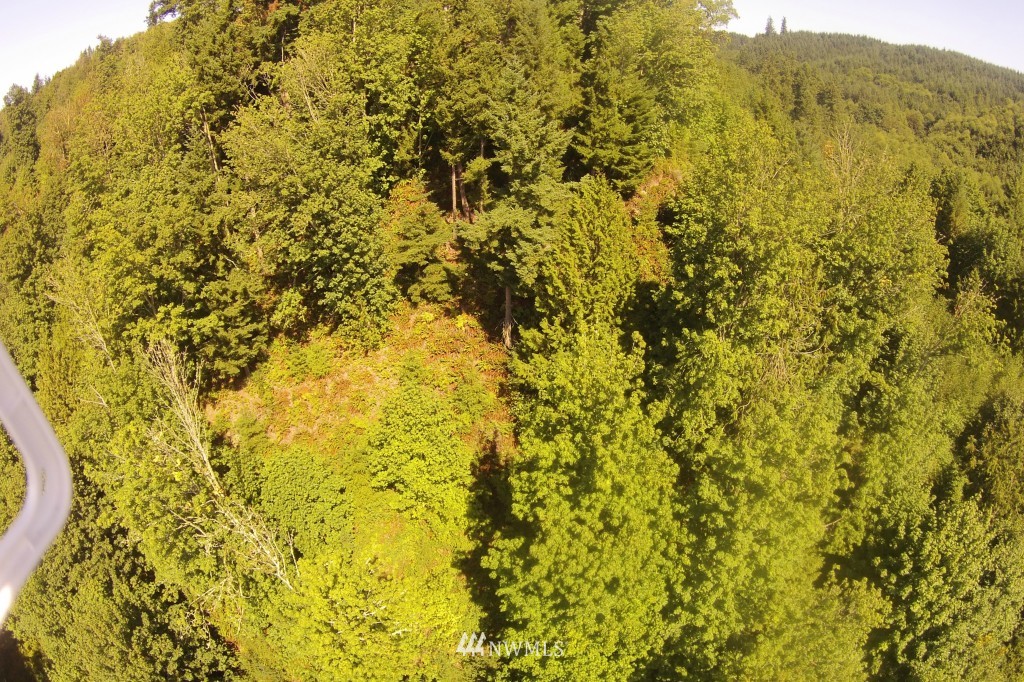 1 X Swansonville Road Port Ludlow, WA 98365 - Photo 6 of 6