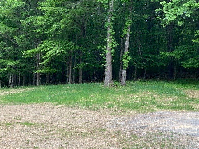 399 Pres Jackson Road Max Meadows, VA 24360 - Photo 20 of 34 Gallery Image 20