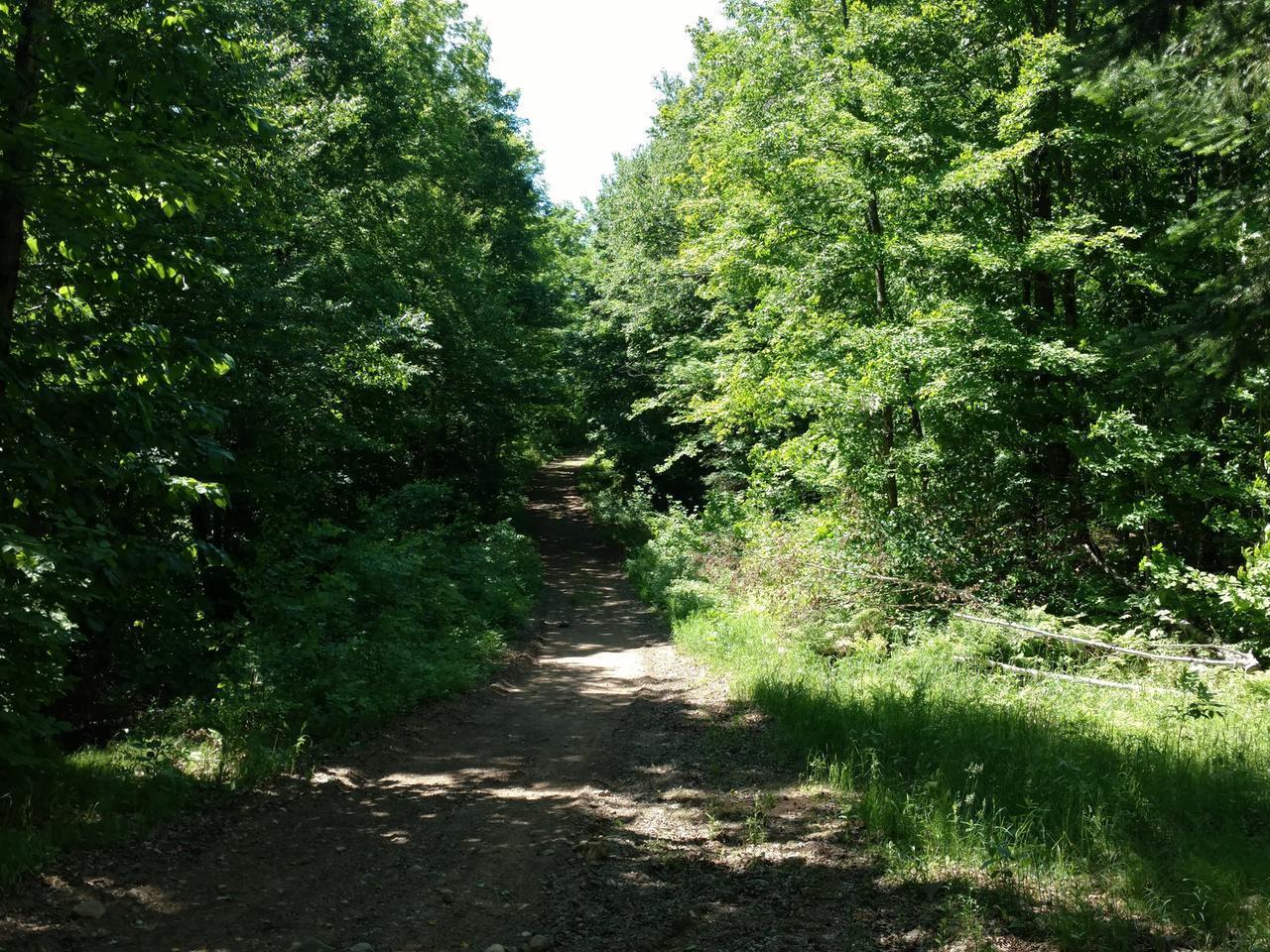 Off Off Cth Rr Ogema, WI 54459 - Photo 26 of 38 Gallery Image 26